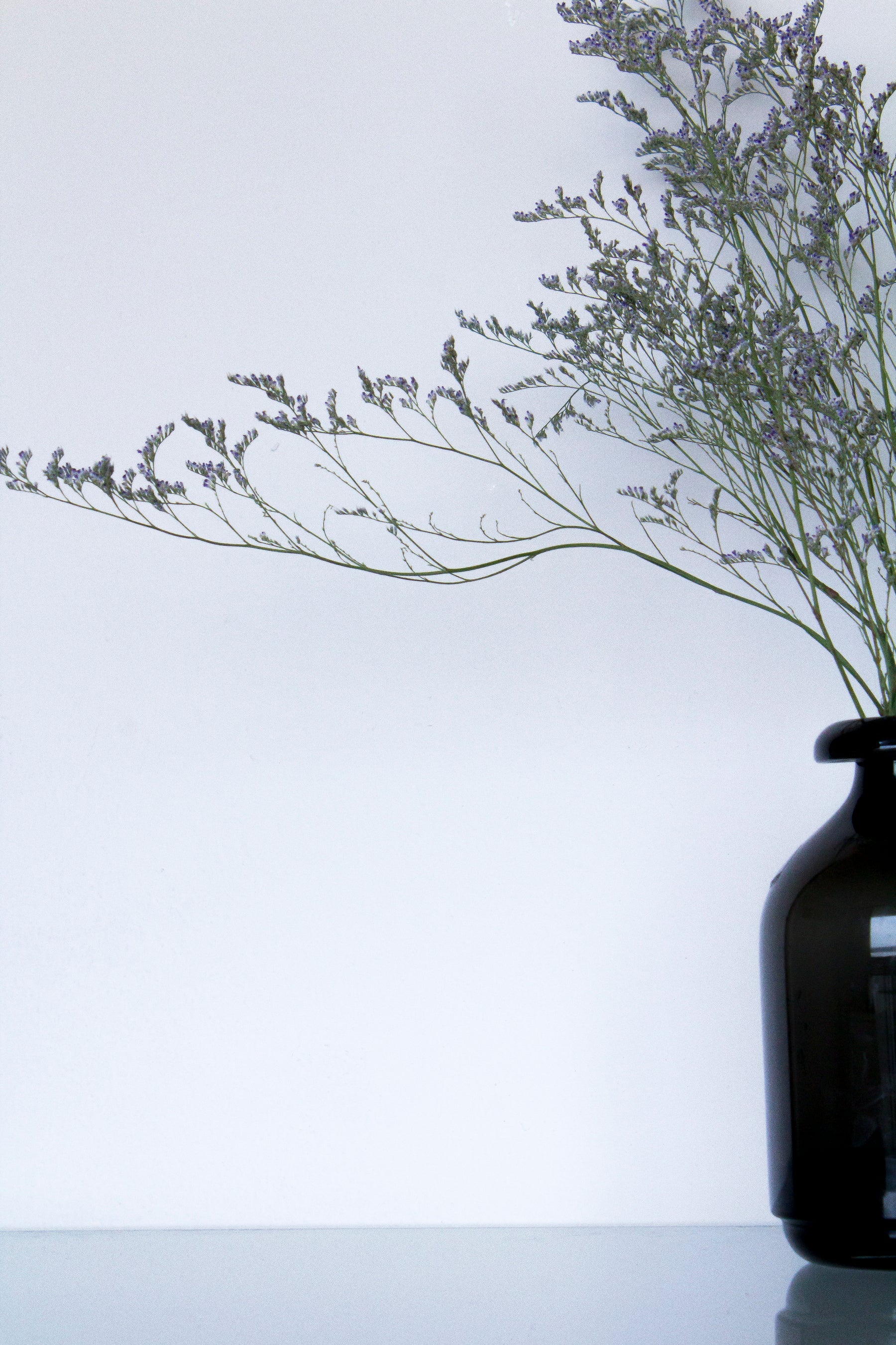 Delicate flowers in glossy ceramic vase